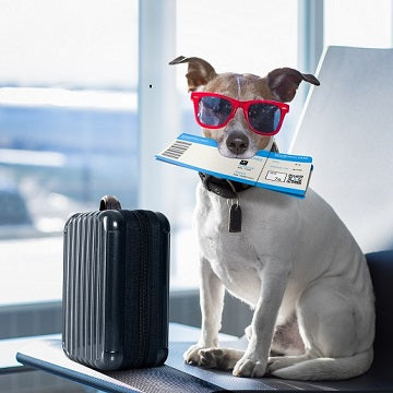 Traveling With Your Bestie